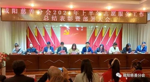 志愿溫情灑咸陽——咸陽市慈善志愿者分會大型活動組織服務紀實